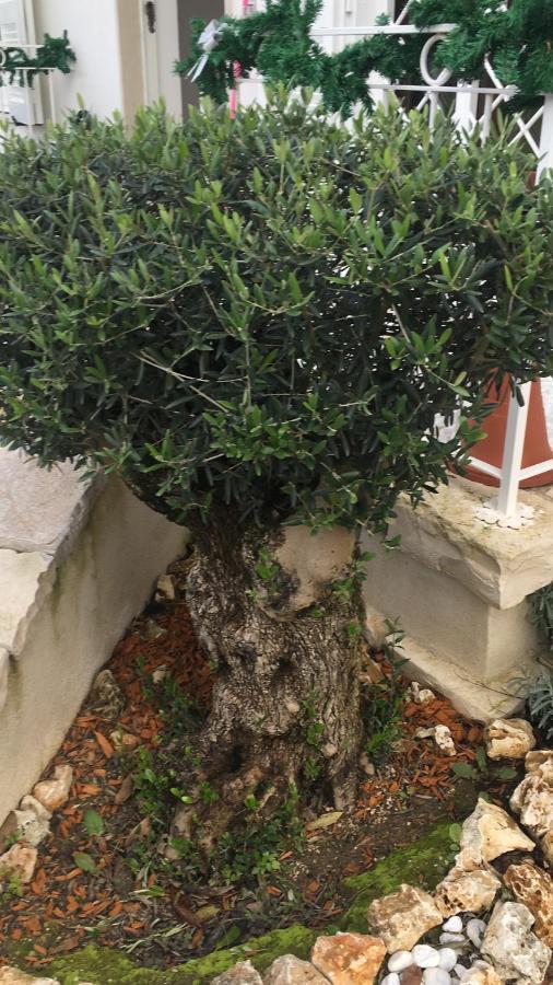 Il Casale Di Gio Bed & Breakfast Naples Luaran gambar